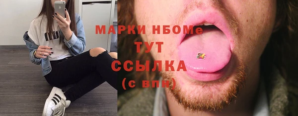 дживик Белокуриха