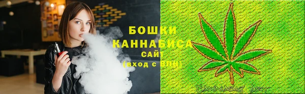 дживик Белокуриха